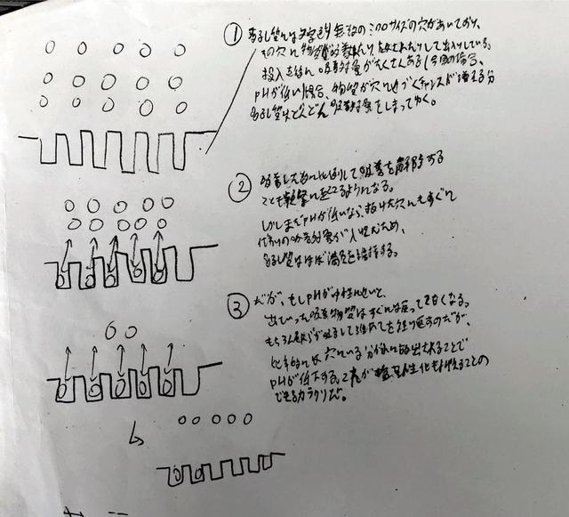 SEG・直前テスト(物理): Sharpandupの受験備忘録